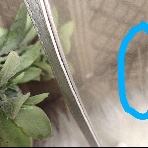 Jeff Wan ๐Clear Pineapple Bazar Tote - Picture 13 of 16